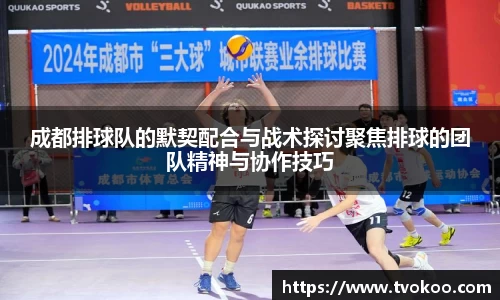 成都排球队的默契配合与战术探讨聚焦排球的团队精神与协作技巧